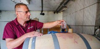 Bár még sokat alszik kinn a szőlő, a kőszegi Jagodics Attila bizakodó