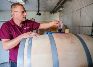 Bár még sokat alszik kinn a szőlő, a kőszegi Jagodics Attila bizakodó