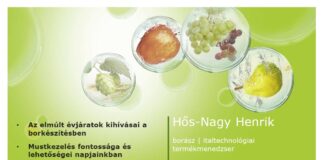 Hogyan készítsük el a legjobb bort?