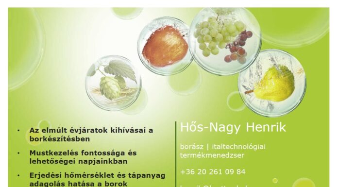 Hogyan készítsük el a legjobb bort?