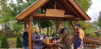 Őszi túrát rendeztek a csepregi szőlőhegyen