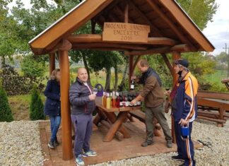 Őszi túrát rendeztek a csepregi szőlőhegyen