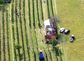 Ki gépen száll fölébe…