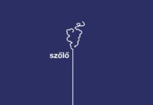 Visszatekintés a 2020-as szőlővédelmi szezonra