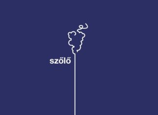 Visszatekintés a 2020-as szőlővédelmi szezonra