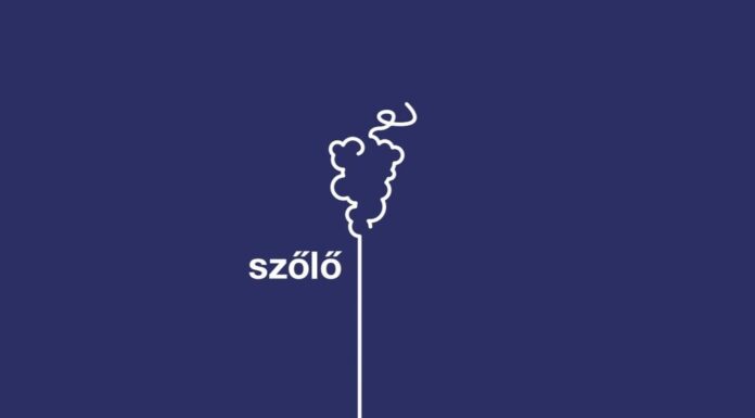 Visszatekintés a 2020-as szőlővédelmi szezonra