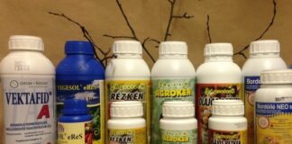 Lemosó permetezés szőlőben – Mikor? Mivel? Hogyan? Miért?