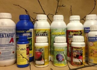 Lemosó permetezés szőlőben – Mikor? Mivel? Hogyan? Miért?