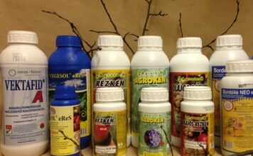 Lemosó permetezés szőlőben – Mikor? Mivel? Hogyan? Miért?