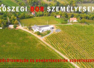 Szövetkezet – Kőszegi Bor Személyesen 2020