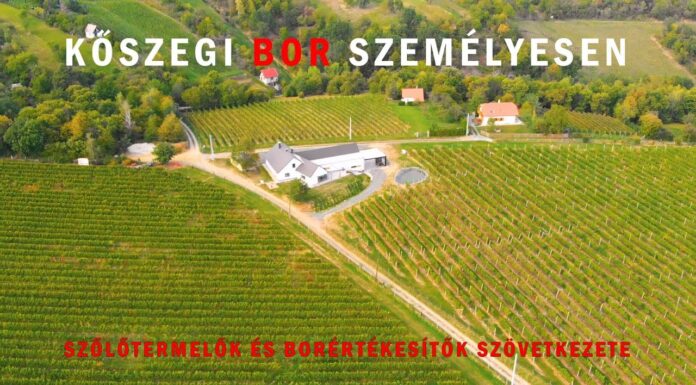 Szövetkezet – Kőszegi Bor Személyesen 2020