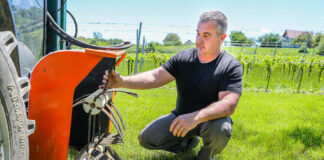 A sok eső neveli a szőlőt, de a sár és a szél nehezíti az aktuális munkákat – A csepregi hegyen jártunk