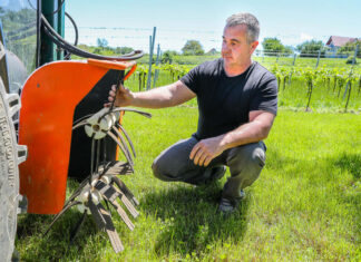 A sok eső neveli a szőlőt, de a sár és a szél nehezíti az aktuális munkákat – A csepregi hegyen jártunk