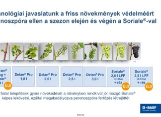 A SORIALE® helye a szőlővédelemben