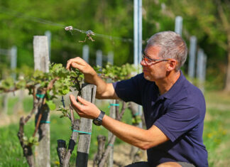 Az utóbbi időben felerősödött az érdeklődés a hegyi házak iránt, a tóközelség is vonzó