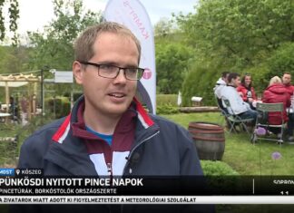 Pincenyitogató 2021 Kőszeghegyalján