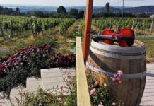 Tüzes zene, hűvös nedű, és a kilátás is gyönyörű!