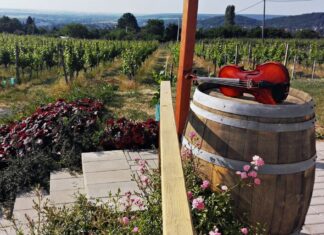 Tüzes zene, hűvös nedű, és a kilátás is gyönyörű!