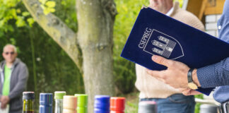 Orbán napi gyepűtiprás a csepregi hegyen – Végigjárták a pincéket