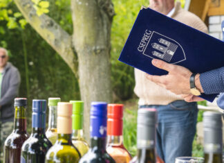 Orbán napi gyepűtiprás a csepregi hegyen – Végigjárták a pincéket