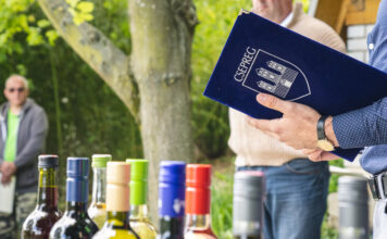 Orbán napi gyepűtiprás a csepregi hegyen – Végigjárták a pincéket