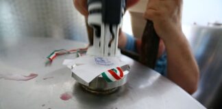 Kőszeg Város bora felhívás 2021