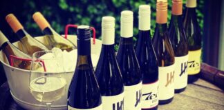 Nyárzáró 7/7 piknik Gyöngyösfaluban