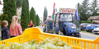 Vidám szüreti menetek járták az utcákat Foto: Cseh Gábor/Vas népe