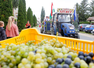 Vidám szüreti menetek járták az utcákat Foto: Cseh Gábor/Vas népe
