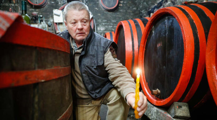 Forr a must, készül az újbor – Magas cukorfoknak örülhettek a Ság hegyen a gazdák