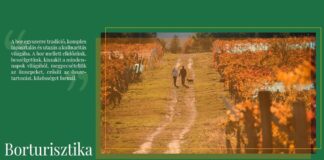 Borturisztika Kőszegen és Kőszeghegyalján