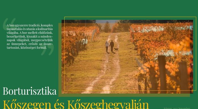 Borturisztika Kőszegen és Kőszeghegyalján