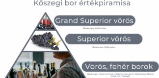 A kőszegi bor jövője – kőszegi oltalom alatt álló eredetmegjelölés – a termékleírás bemutatása II.