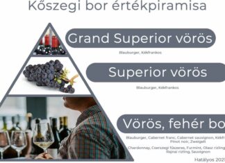 A kőszegi bor jövője – kőszegi oltalom alatt álló eredetmegjelölés – a termékleírás bemutatása II.