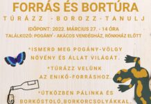 Forrás és Bortúra a Pogányokban