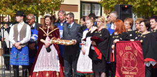 Hajtások bemutatása 2022