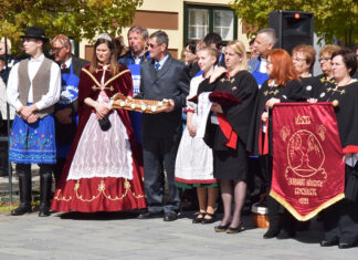 Hajtások bemutatása 2022