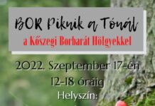 I. Bor piknik