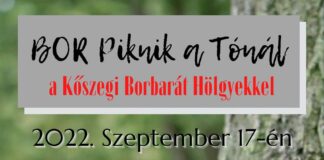 I. Bor piknik