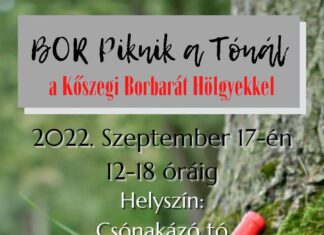 I. Bor piknik