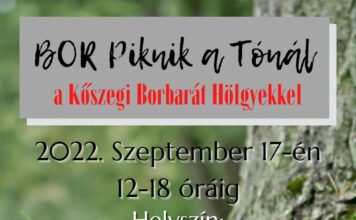 I. Bor piknik