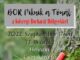 I. Bor piknik
