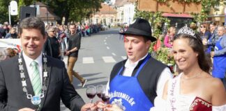 Szabó Márton elnök