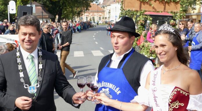 Szabó Márton elnök