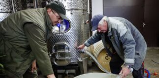 Metszés és fejtés – Kőszegen egy különlegesség, jégbor is készül