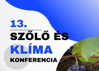 13. Szőlő és Klíma Konferencia