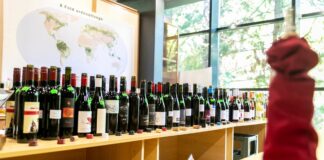 Borvidéki borverseny Sopronban 2023