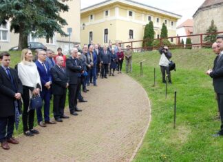 A bor ünnepe Kőszegen