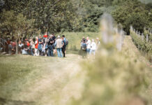 Hintó is járt a hegyen – százak kirándultak Csepregen a Nyitott pincék napján