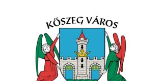 Város Bora 2024 felhívás